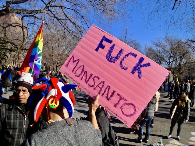 liberal science