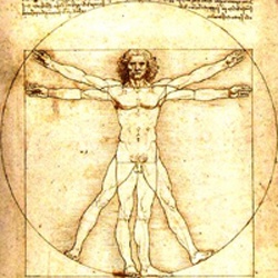 da-vinci