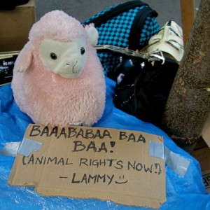 baa-baa-baa