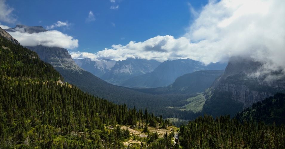 "Climate is not just an environmental issue," professor Mary Christina Wood told Bill Moyers. "This is a civilizational issue." (Photo: Mark Stevens/flickr/cc)