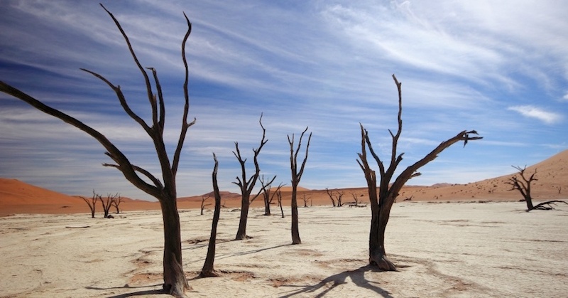 "This is not an exact prediction or a forecast," the author of the new research said, advising caution regarding her study's temperature predictions. "The experiment we as humans are doing is very different than what we saw in the past." (Photo: Massmo Relsig/flickr/cc)