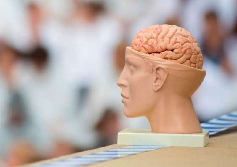 We spend a lot of our time talking to ourselves in our heads. Credit: UNSW Science