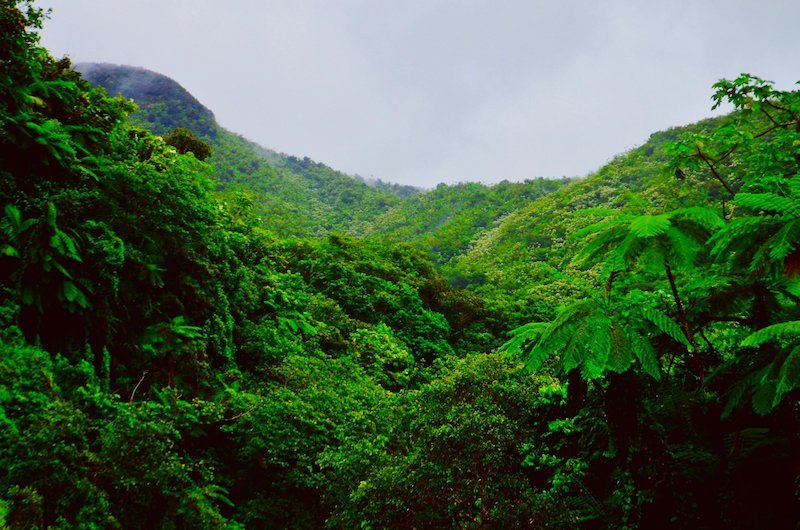 Credit: Molly Champion from Pexels