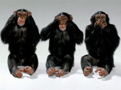 See no evil...